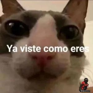Ya viste como eres - getsticker.com