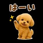 毎日使える【挨拶★返事】トイプードル