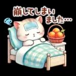 猫のつめあわせ【冬】