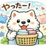超かわいいサモエド犬の日常 普段使いに！