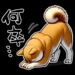 柴犬ワンダフル！！！！！