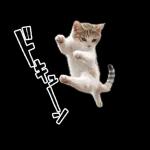 動く！猫の日常2