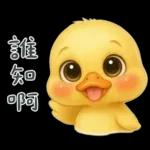 陰陽怪氣的小鴨鴨