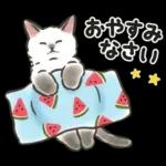 夏の毎日☆猫たちのスタンプ２