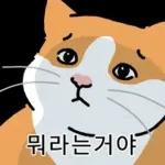 고양이 확대 2