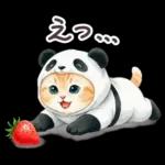 秋冬 毎日使える コスにゃんず 日常