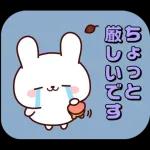 連絡白うさちゃん