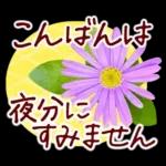 春✿明るい花で幸せ呼び込む✿やさしい声かけ