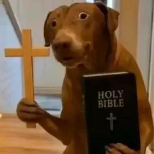 HOLY BIBLE - getsticker.com