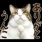 うんこ★リアルな猫