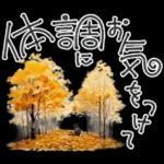 大人の挨拶♡秋の毎日♡品よくおしゃれに