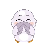 Watsap