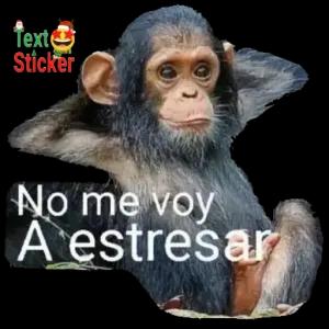 No me voy A estresar - getsticker.com