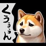 柴犬ワンダフル！！！！！