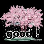 毎日使える やさしいお花の挨拶スタンプ