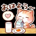 毎日♡猫ちゃんず【連絡・今何してる？】