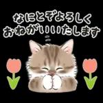 春の毎日☆猫たちのスタンプ（もふもふ）
