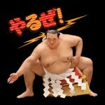 横綱 稀勢の里