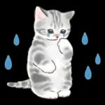 ふんわり可愛い☆猫たちのスタンプ