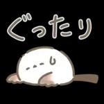 【夏】エナガさんとシマエナガさん12