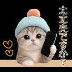 スコティッシュ猫 カラフル帽 夏 敬語