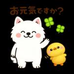 かわいいサモエド・元気いっぱいの春