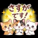 ずっと使える♪猫たちの日常