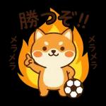 深夜観戦おつかれさま