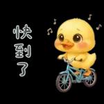 陰陽怪氣的小鴨鴨