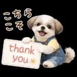 気持ち伝わる癒やしシーズー