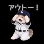 野球をする猫