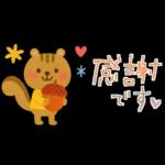 大人かわいい✳︎優しい秋色&気遣い