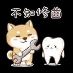 柴犬可愛諧音梗