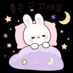 시크한 토끼의 한마디