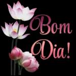 bom dia kkkkk