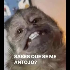 SABES QUE SE ME ANTOJO? - getsticker.com