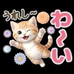 にゃんこ達の❤️気持ちたっぷり長文❤ねこ