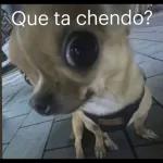 Que pereza