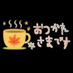 大人かわいい✳︎優しい秋色&気遣い