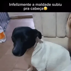 YMIfYy