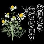 毎日使える やさしいお花の挨拶スタンプ