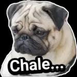 Pegatinas divertidas