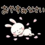 やさしい春の毎日♡ふんわかウサギ