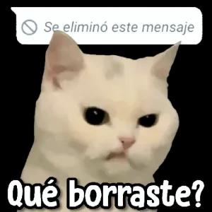 Se eliminó este mensaje Qué borraste? - getsticker.com