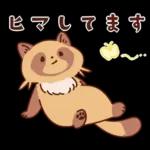 imananishiteru tanuki