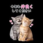 毎年使える♪リアルなにゃんこの年末年始