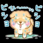 雨、梅雨、夏に使う❤️いやしばいぬ❤️柴犬