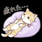 毎日使える♡大人可愛いガーリーキャット2