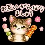 猫まみれのやさしい日常【春】