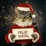 catnatal